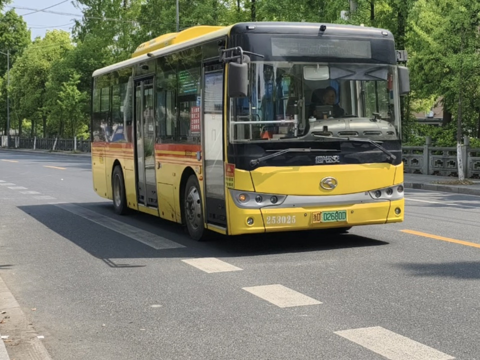 公交车后座上的疯狂之旅