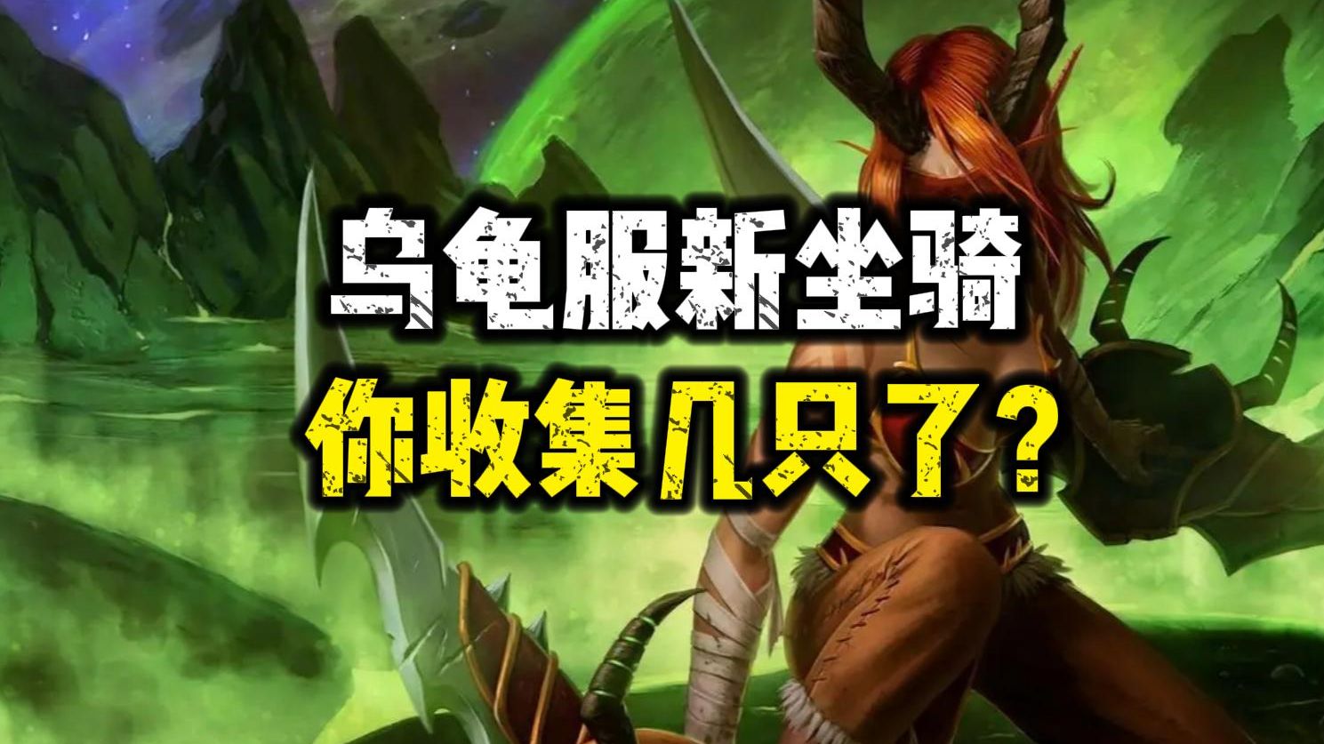 导师的乌龟坐骑在哪导师的乌龟坐骑-第2张图片