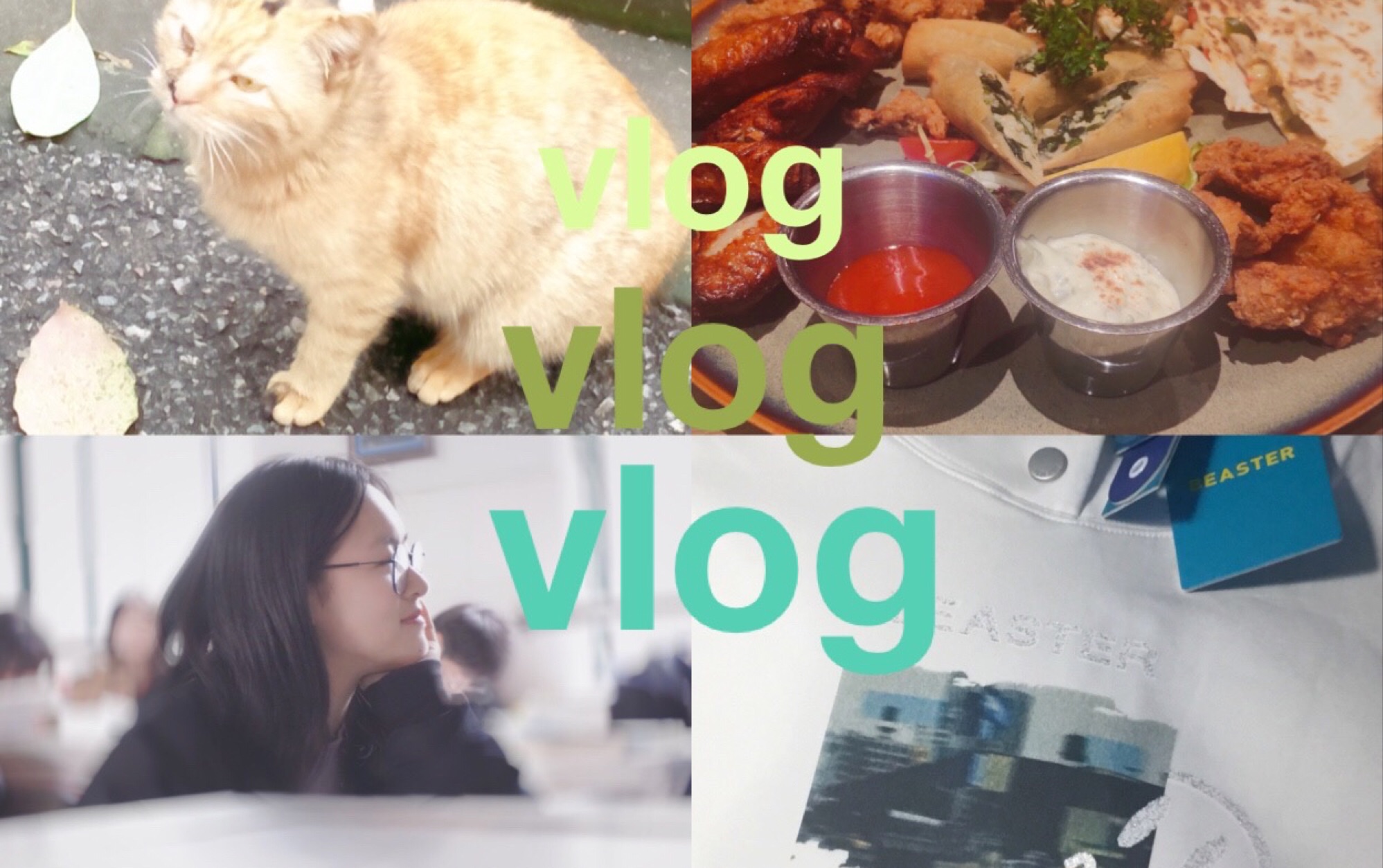欧美夫妻的幸福VLOG，记录生活，分享快乐