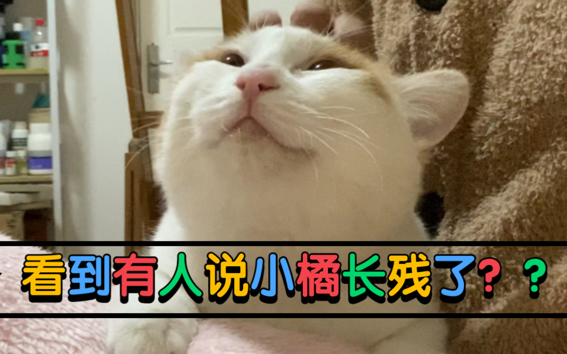 老师你的兔子好软水好多的图片关于老师与兔子的误解与澄清