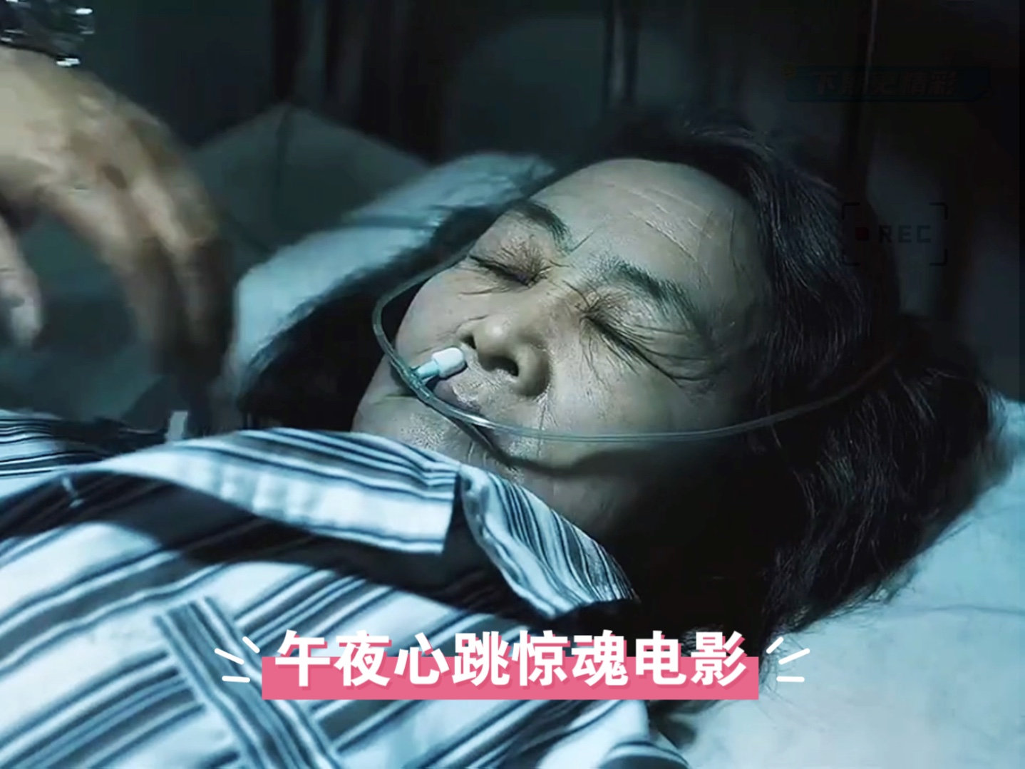 午夜影视不用充钱的免费下载午夜影视，免费观看，无需充值