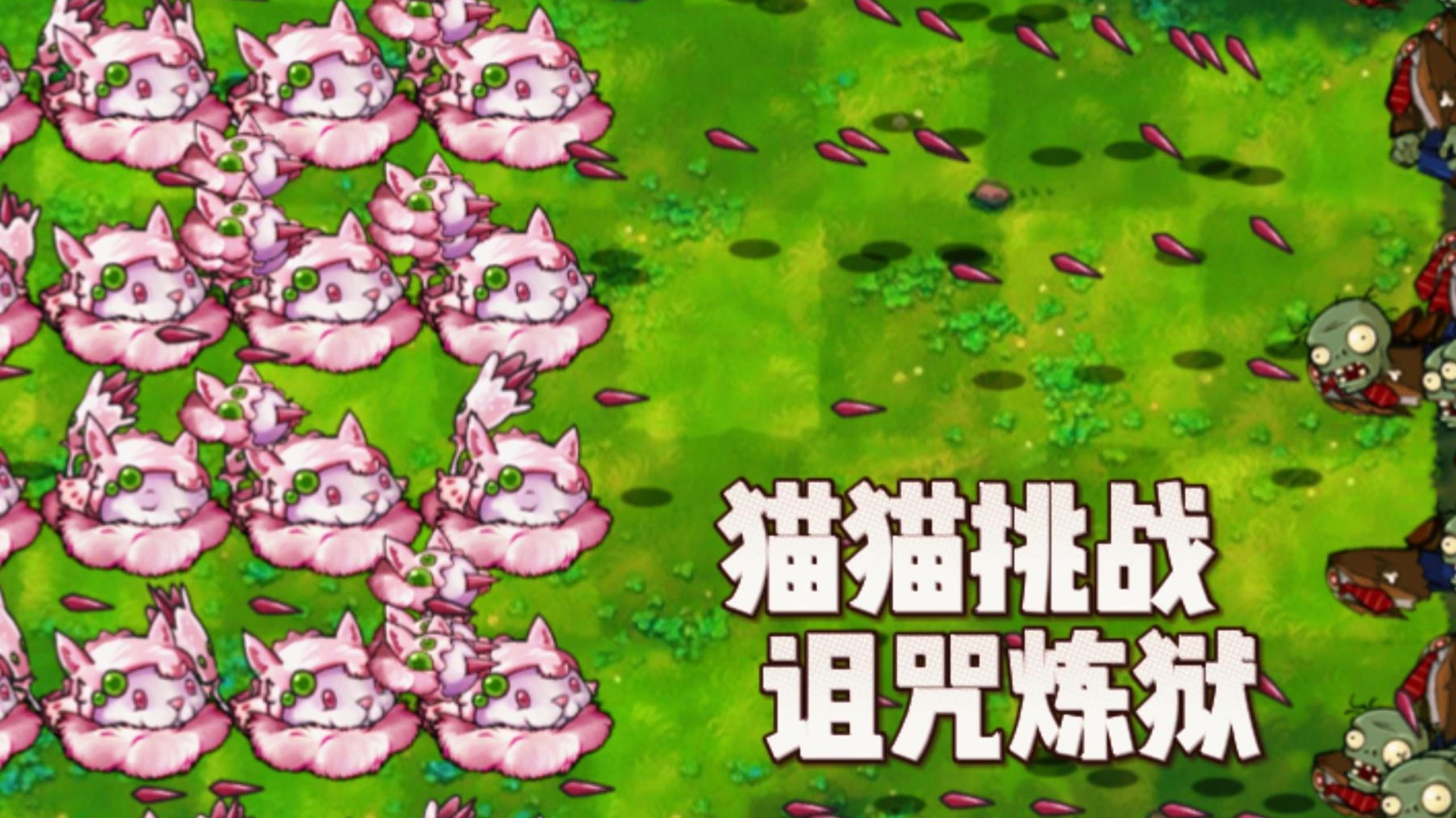 魔法猫魔法猫，神秘的守护者