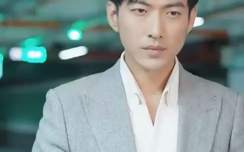 龙域帝尊，权力的巅峰传奇-第1张图片