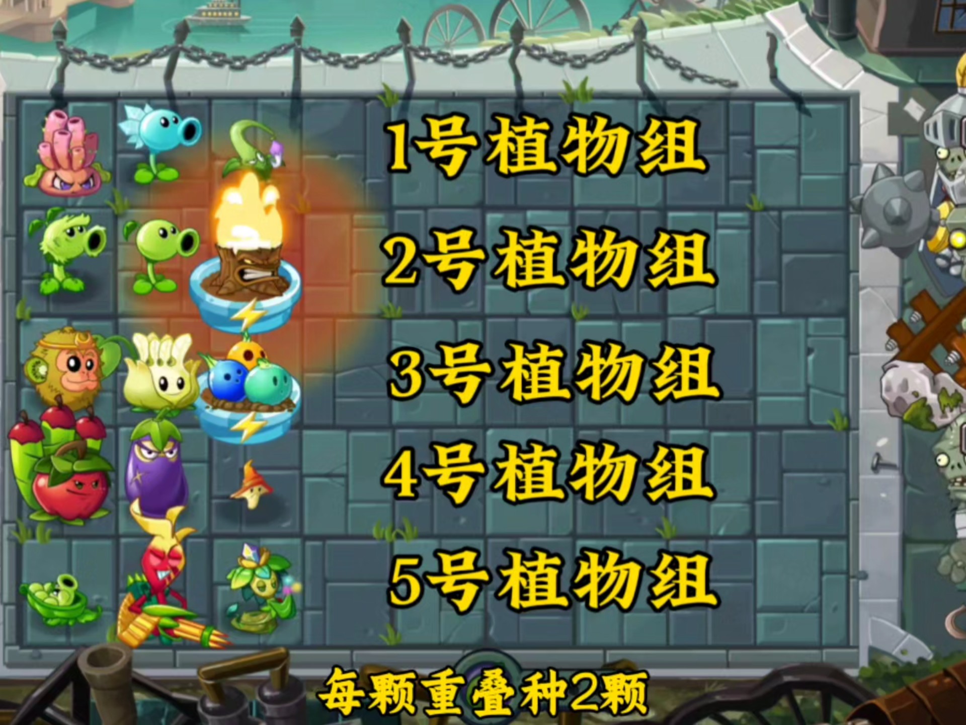 误入歧途的植物世界——丝瓜、香蕉、草莓与向日葵的绿巨人-第3张图片
