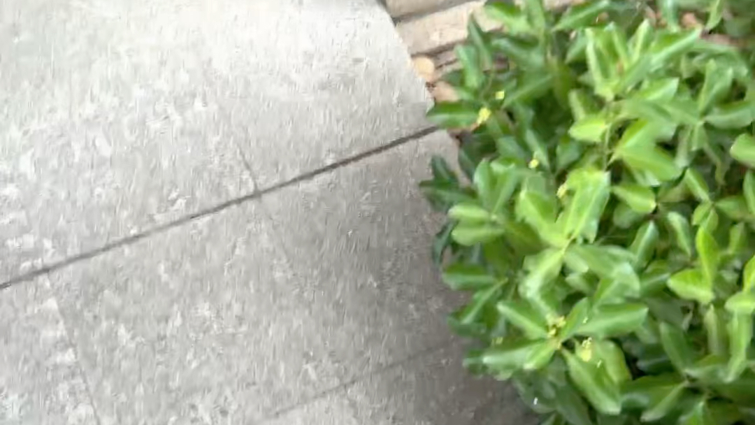 久草在线草a免费线看——探索网络资源的无限可能