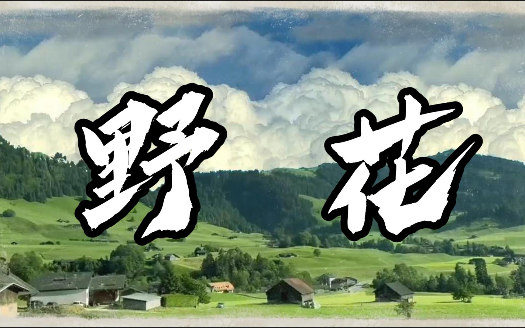 野花日本高清版视频资源探索