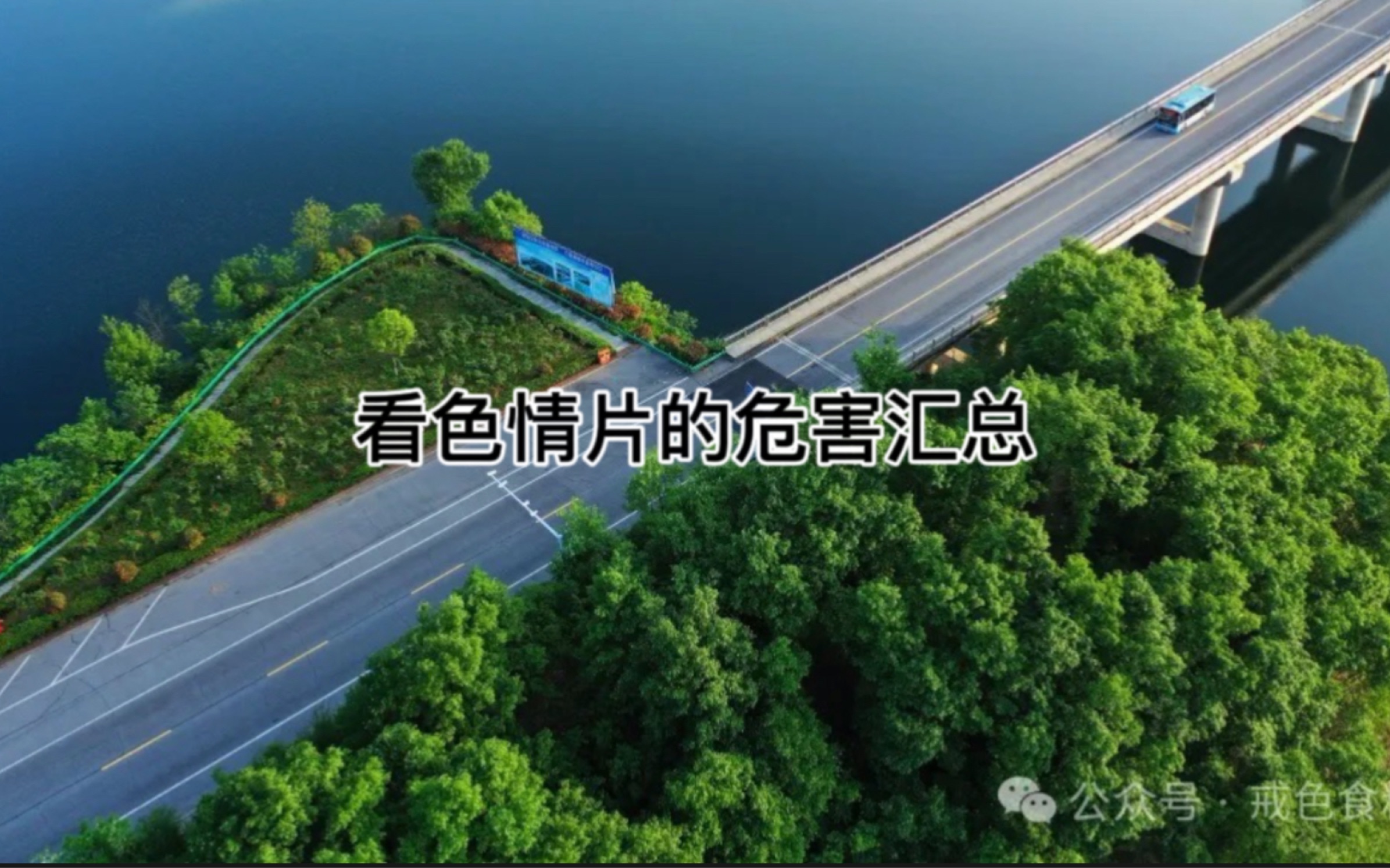 色情综合网，危害与防范-第2张图片