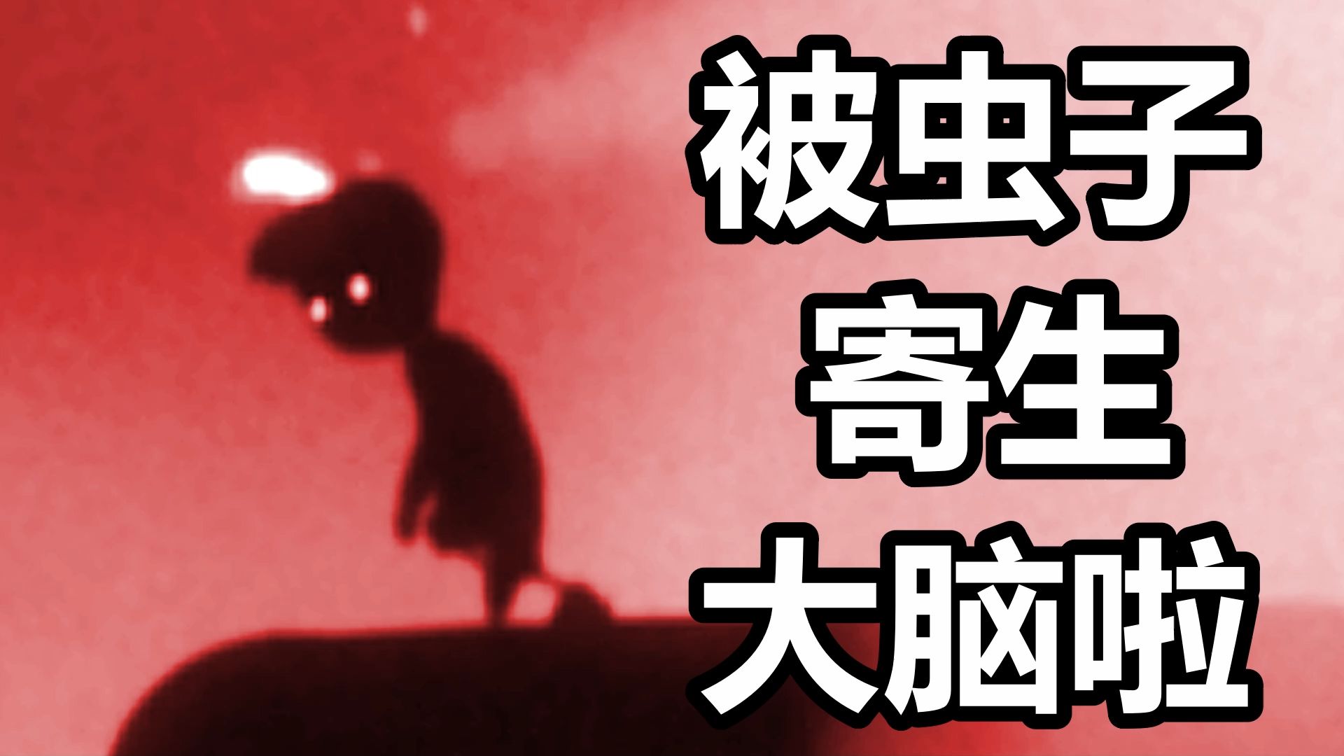 地狱边境游戏攻略，如何畅游其中