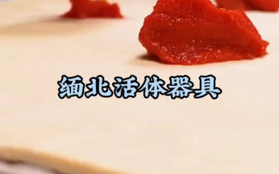 活体肉莲什么意思?活体肉莲的含义与解读-第2张图片