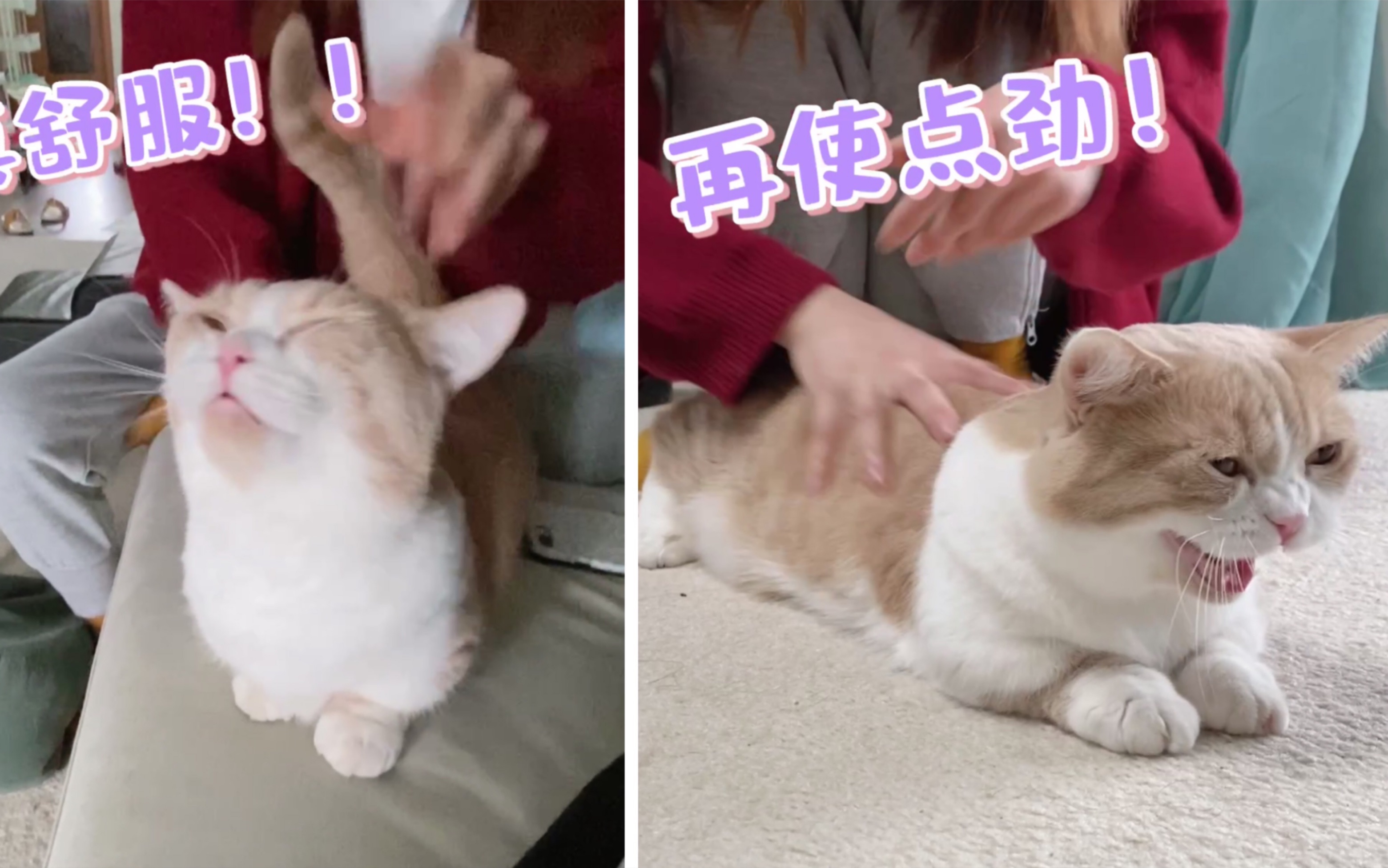 哥家里没人使点劲C我哥，家里无人，我们共同使点劲C我-第2张图片