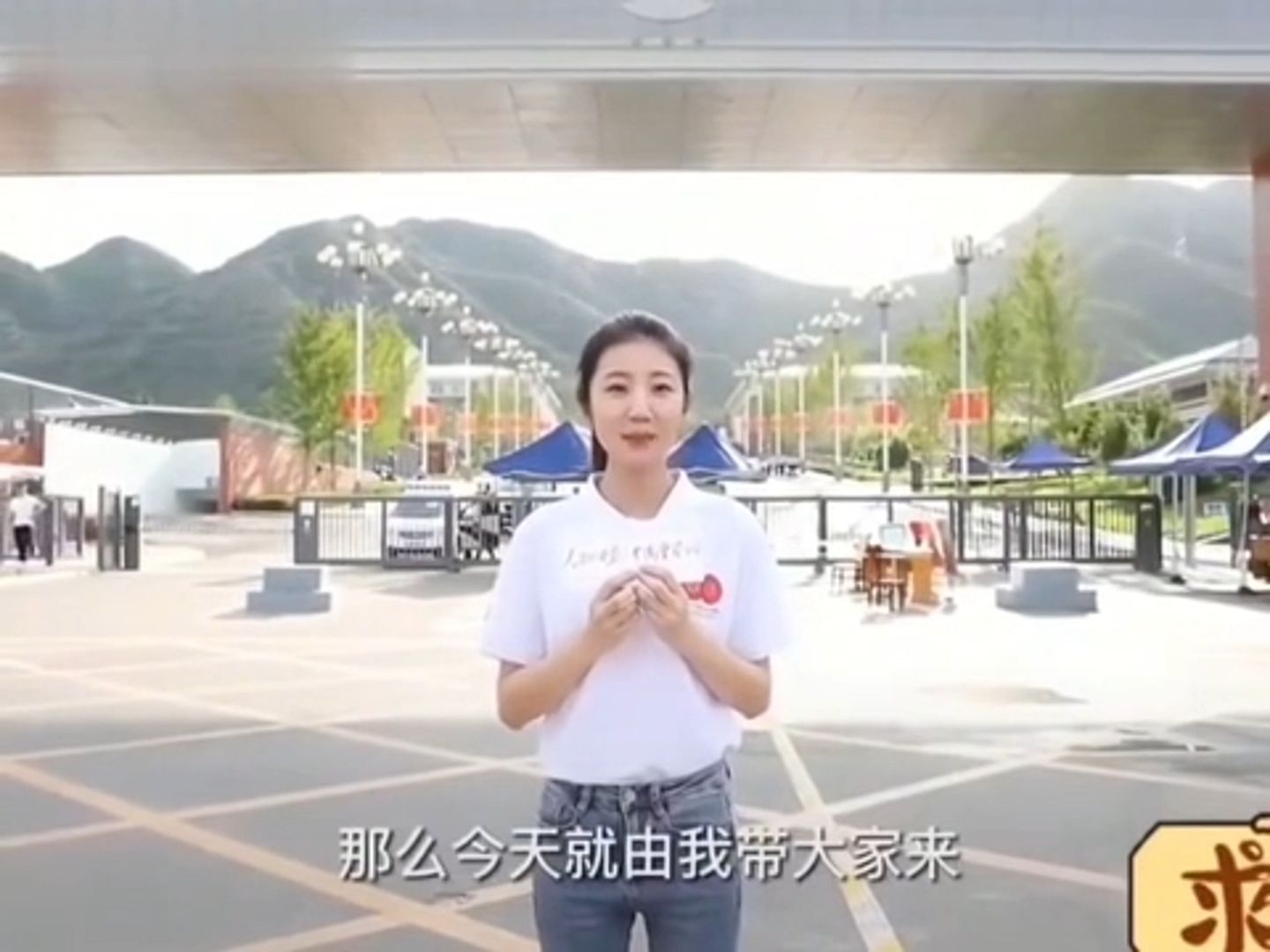 张津瑜与吕总视频事件，外网影响与探讨-第3张图片