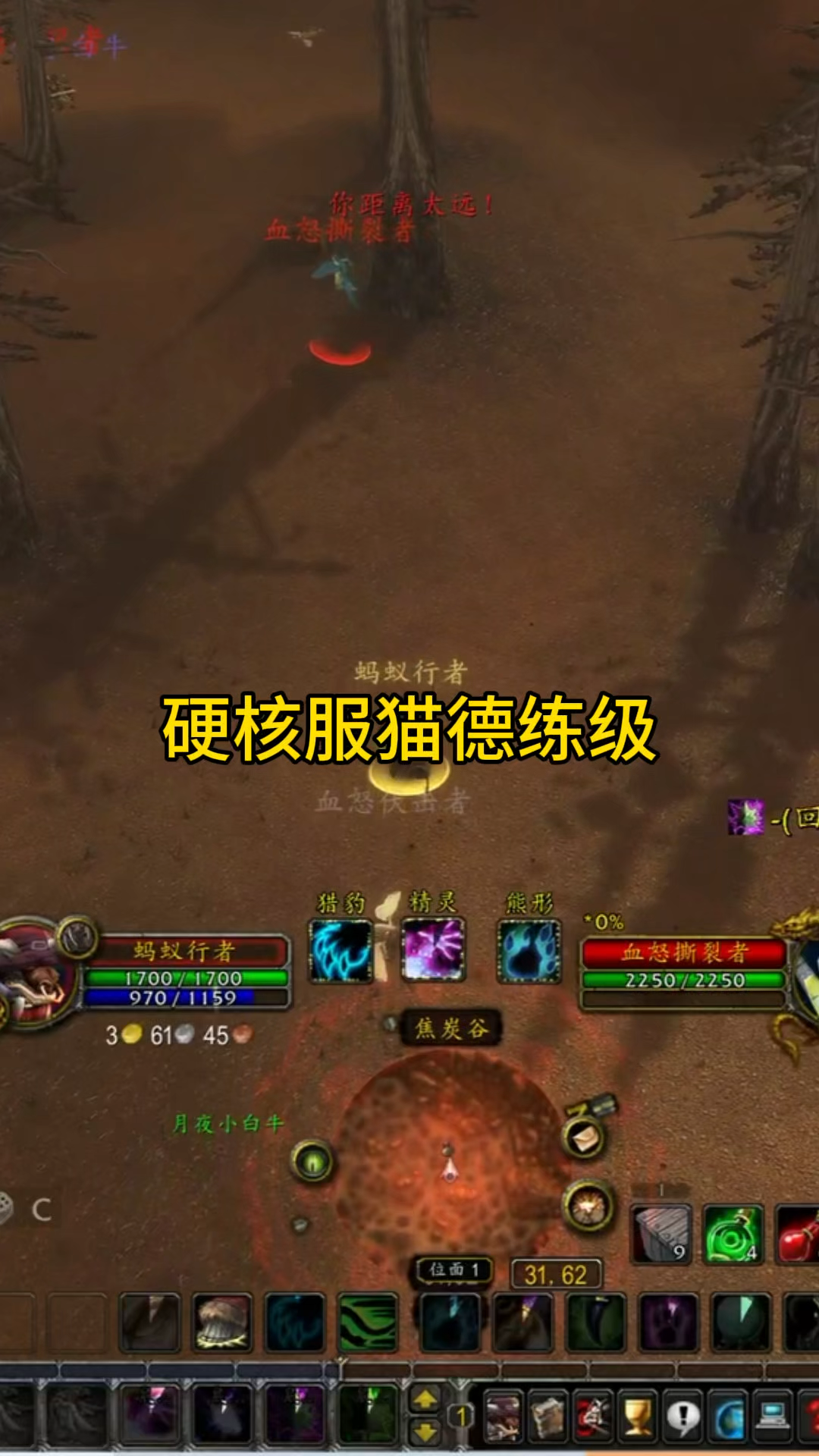 揭秘魔兽世界中的冒牌德鲁伊