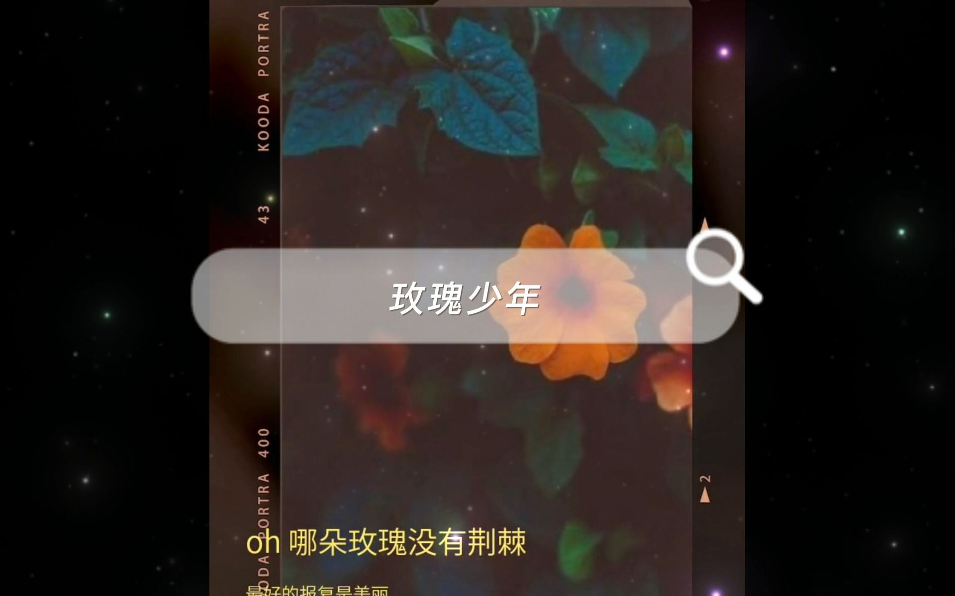 璀璨玫瑰怎么得璀璨玫瑰的获取之道-第1张图片