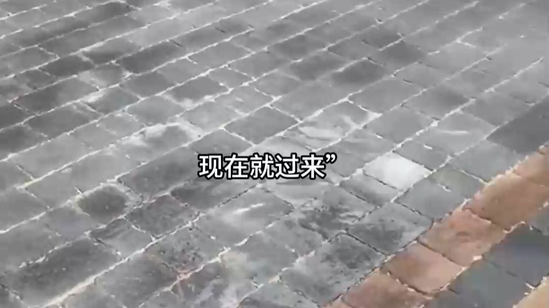 公交车上诗啨公交车上诗啨的美丽邂逅