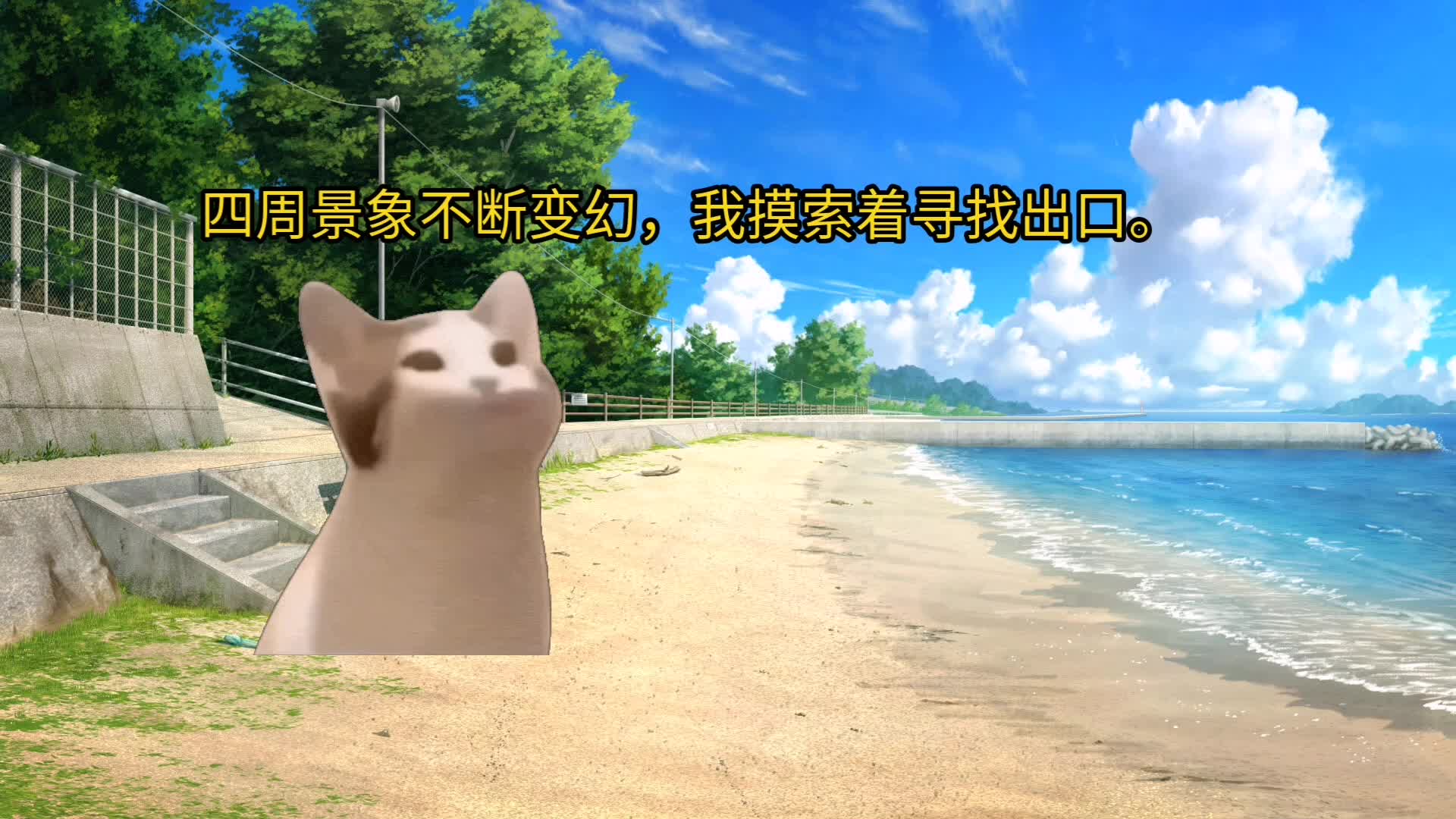 猫咪社区WWW高清视频在线观看探索猫咪社区，高清视频在线观看的乐趣-第3张图片