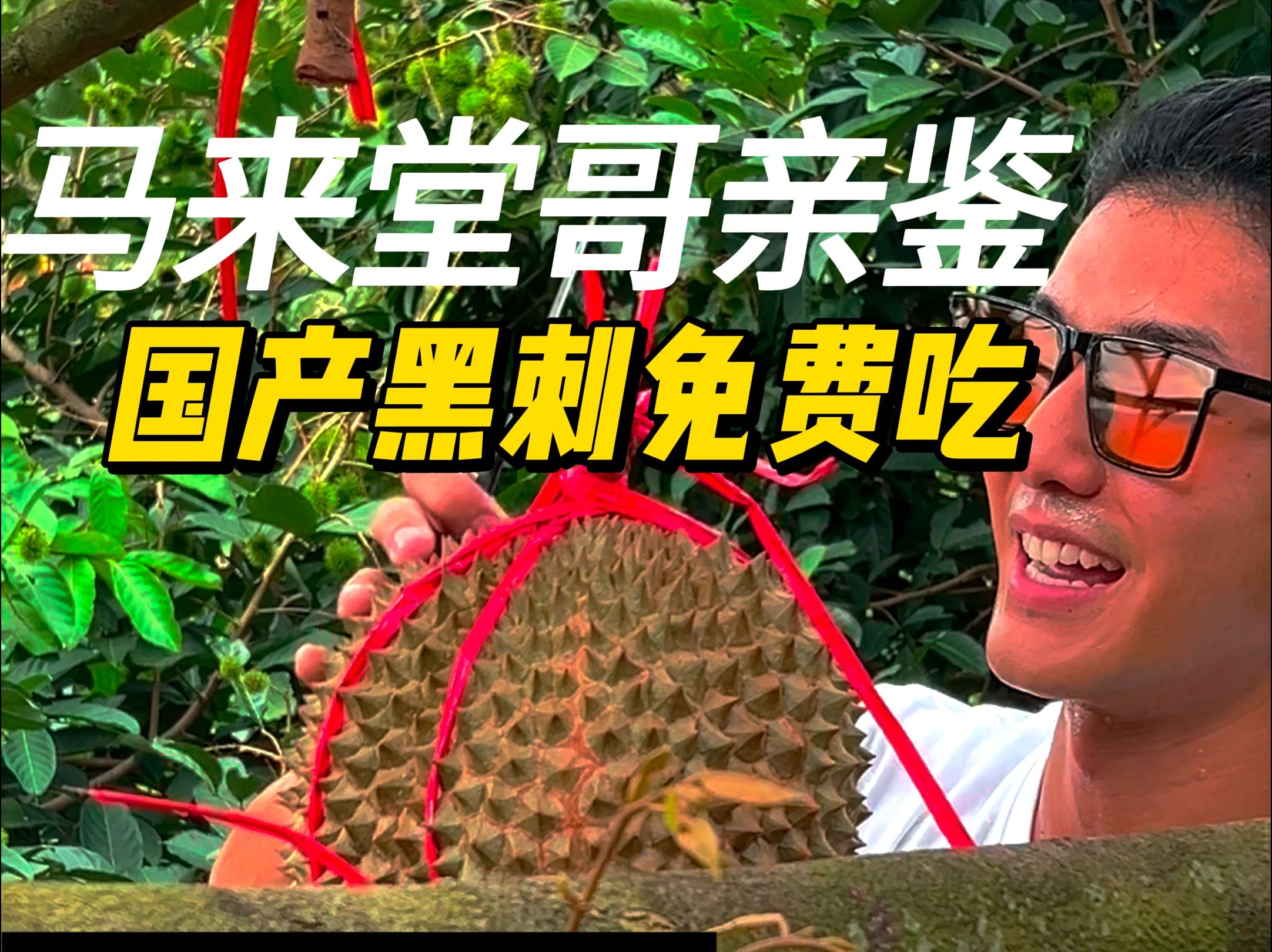 榴莲app最新下载免费观看榴莲APP，最新下载免费，畅享生活新体验-第2张图片