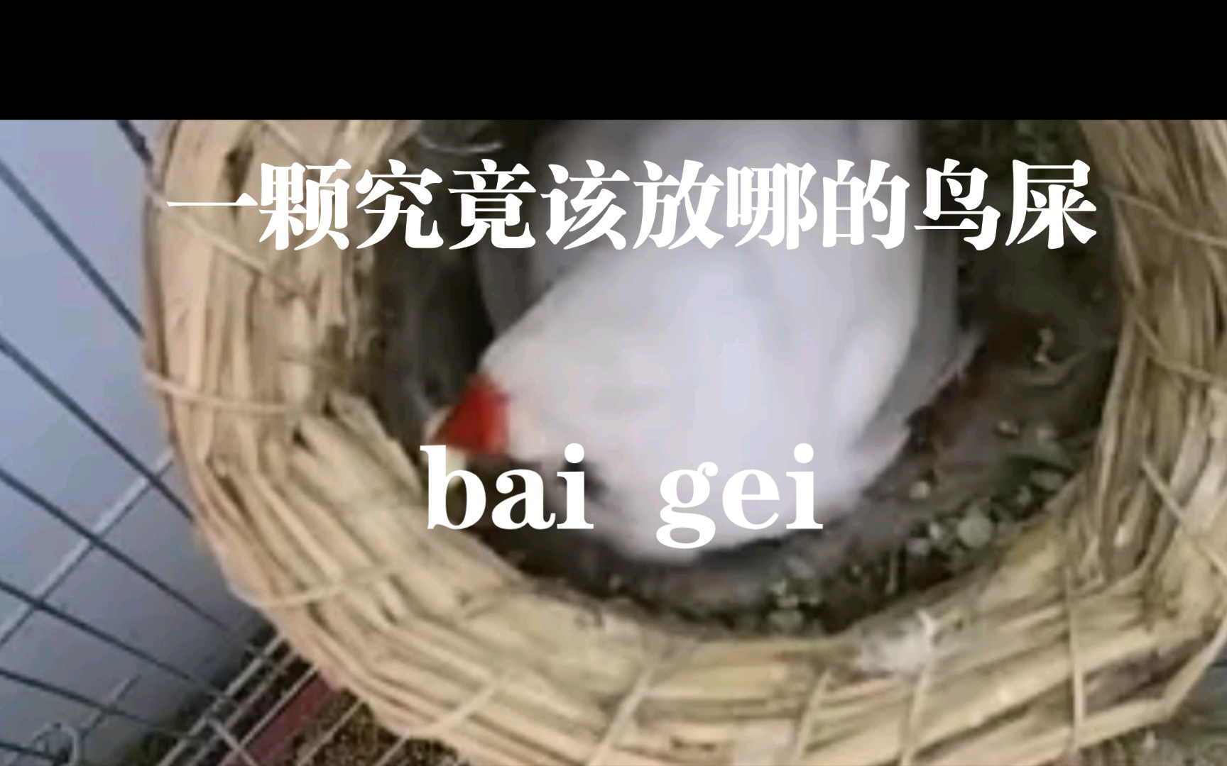 伦理边界下的混乱之声，伦交乱叫现象的深度探讨-第3张图片