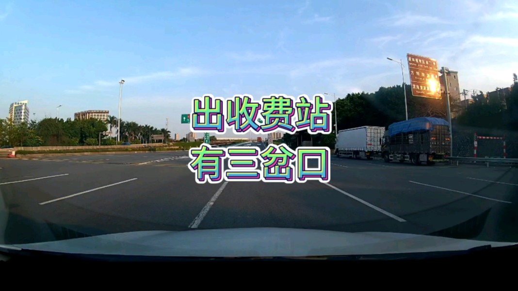 大菠萝福建官方导航引导入口详解-第2张图片