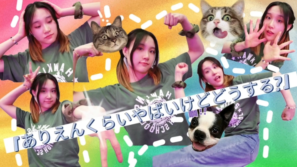 くるり的魅力与探索