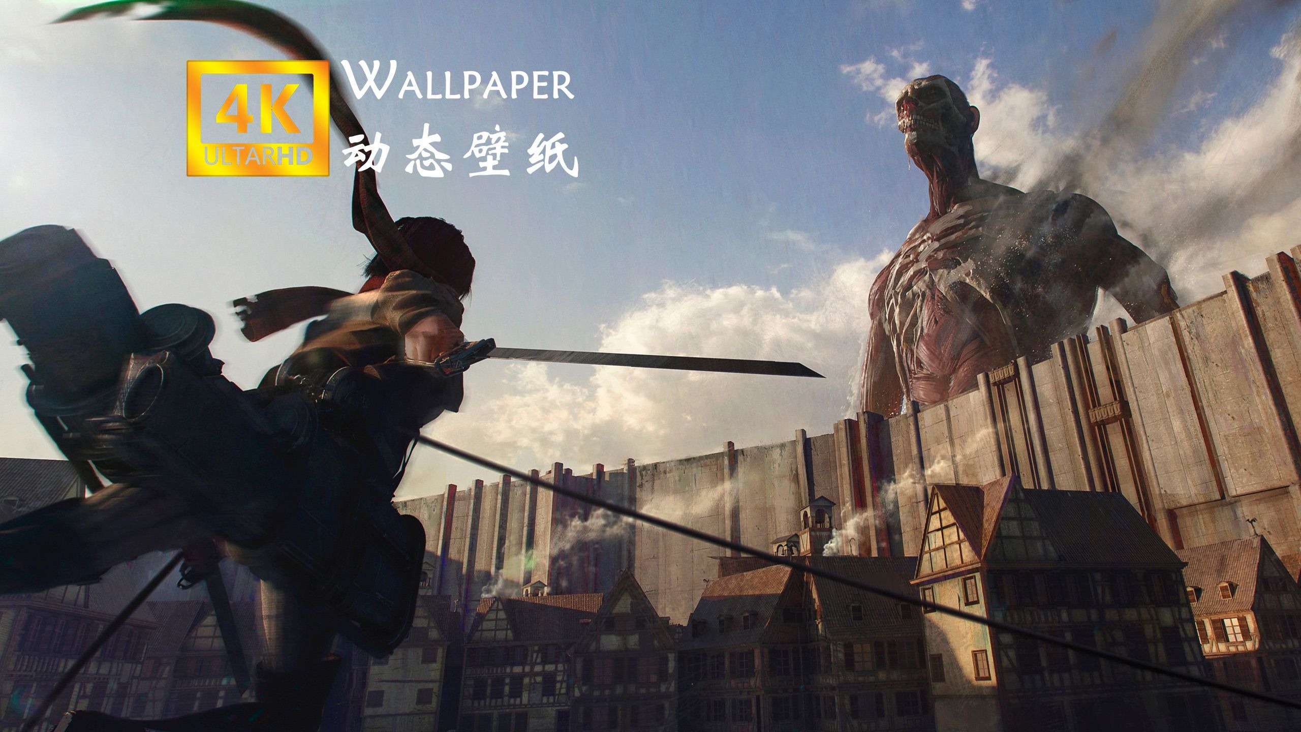 wallpaper壁纸显示不出来壁纸的魅力与选择