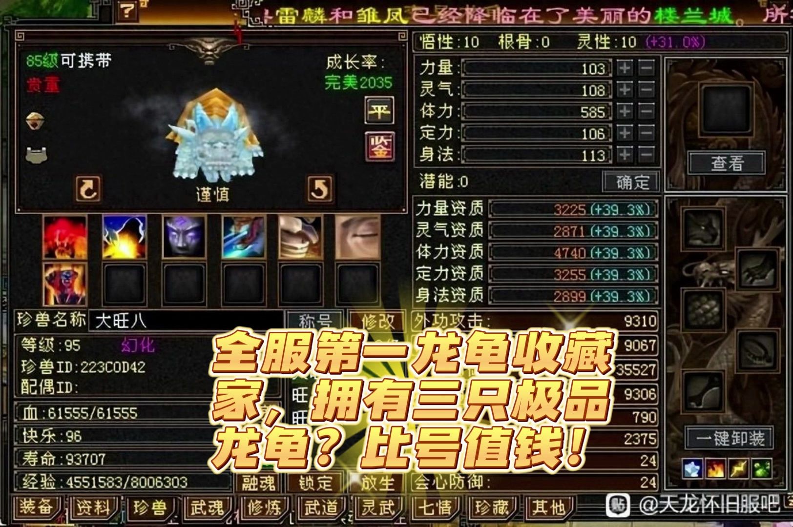 天龙八部怀旧版官网重温经典，天龙八部怀旧版官网之旅