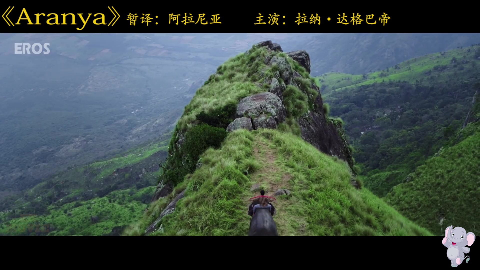 大象影视传媒制作公司的崛起与影响