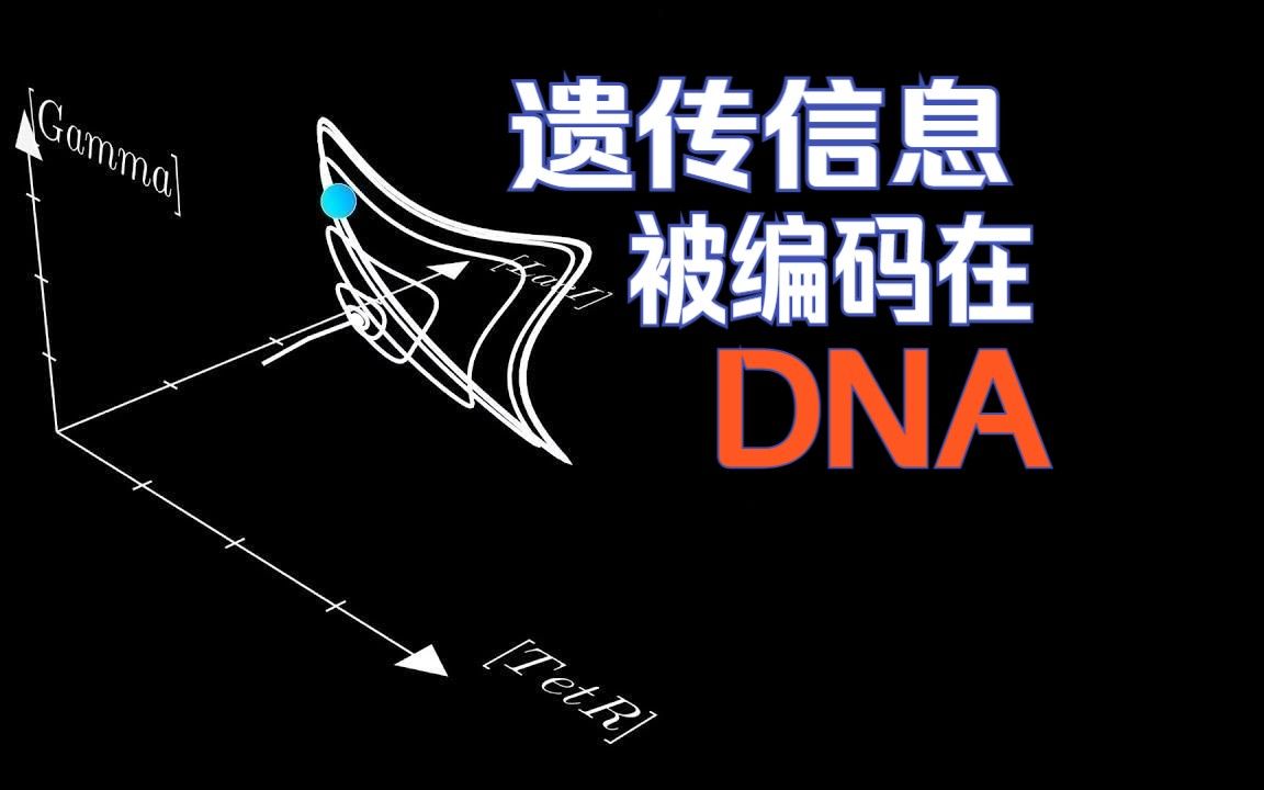 母亲与儿子DNA的奥秘-第1张图片
