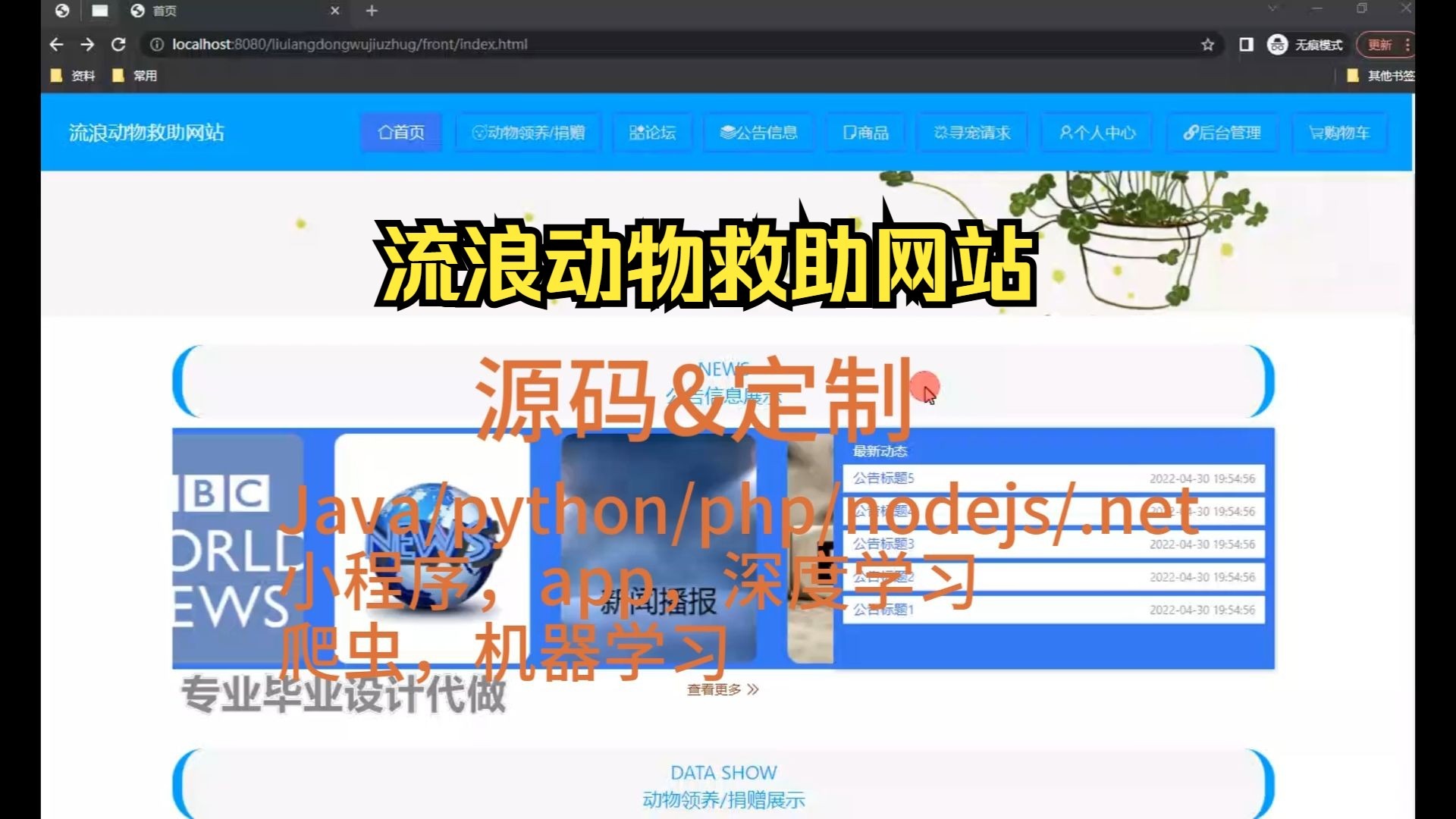 国外精品资源分享，W灬源码的探索与免费获取途径