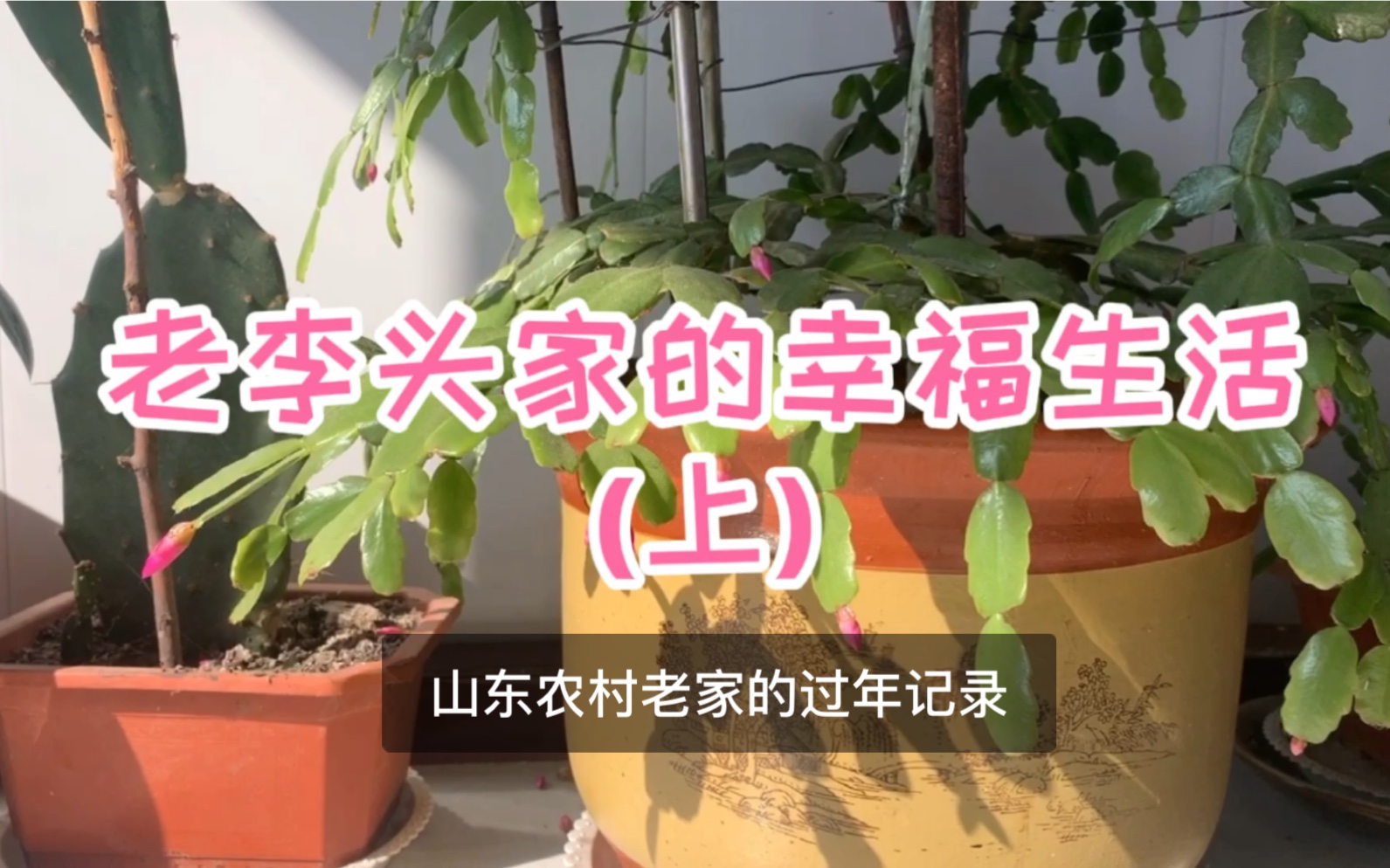 老李头的幸福晚年-第1张图片