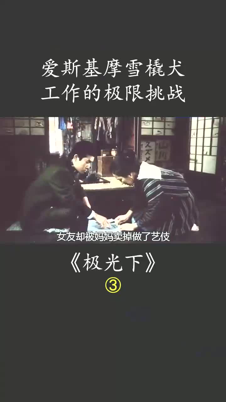 野狼网名要加点什么好野狼网，互联网的野性力量-第2张图片