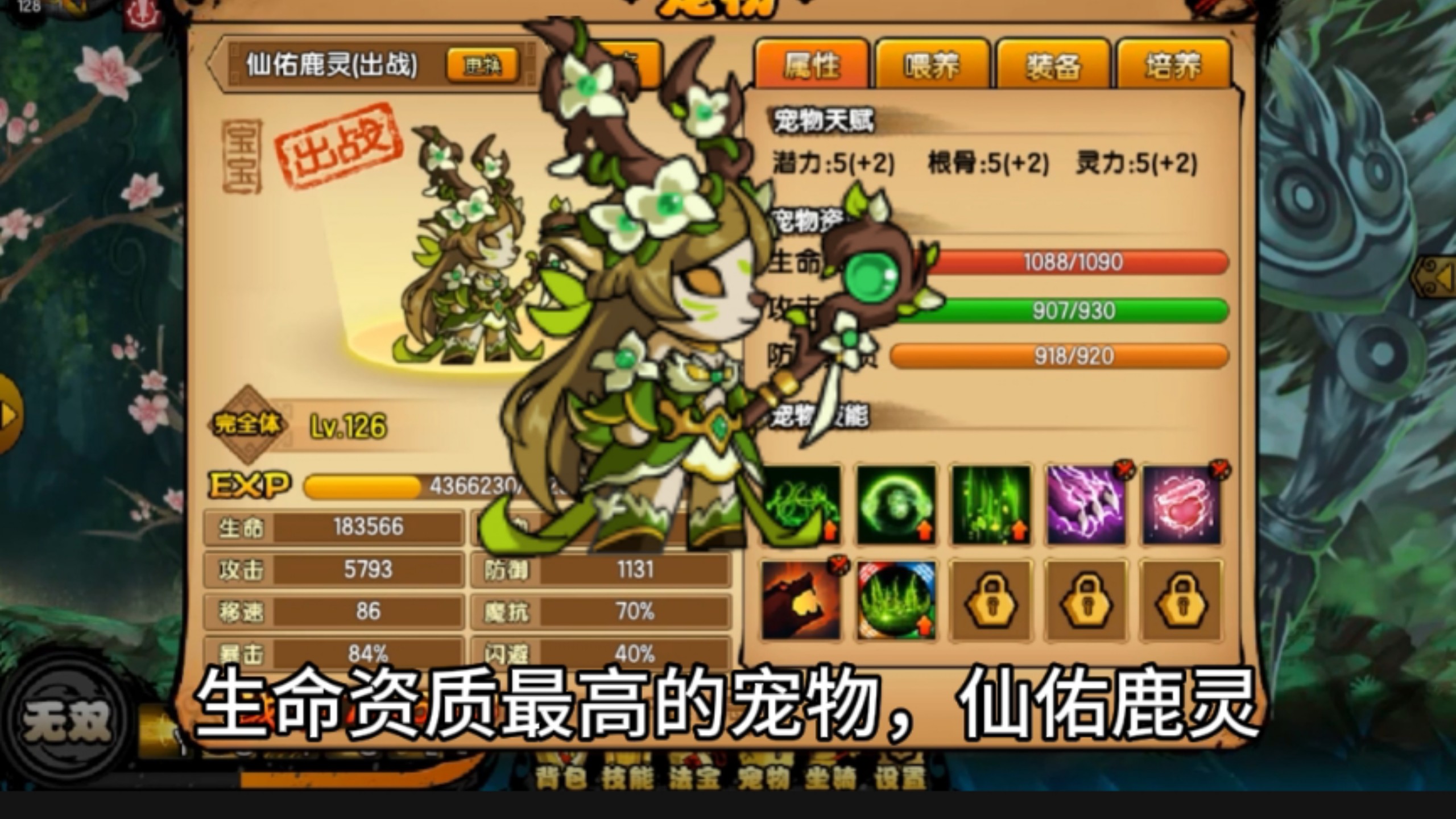 造梦西游3宠物在哪里刷级最快?造梦西游3，宠物探险之旅-第3张图片