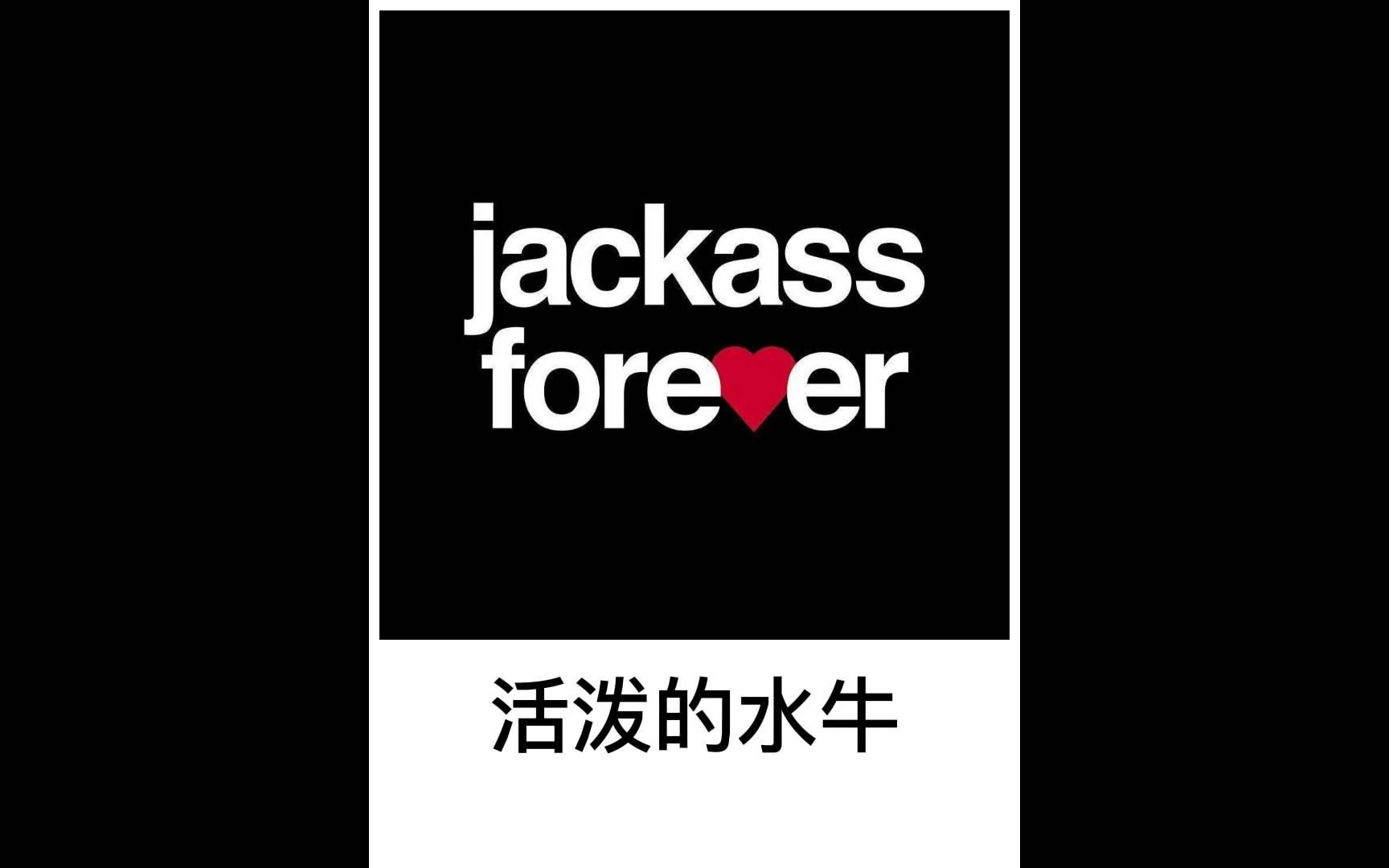 蠢蛋搞怪秀3.5蠢蛋秀攻略，轻松掌握游戏秘诀，成为游戏高手