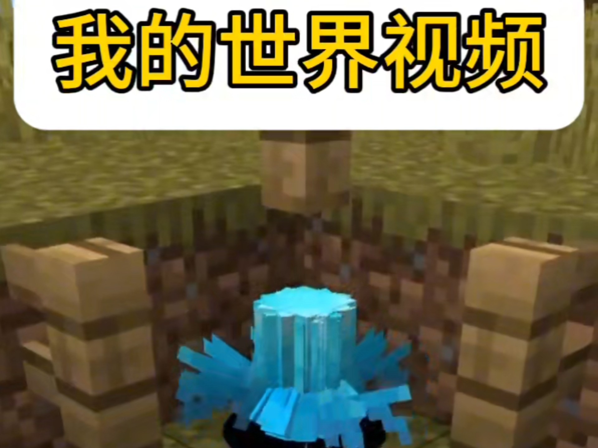 一个人的视频www片免费免费观看各类视频资源——探索网络世界的无限可能