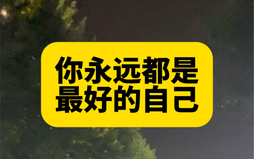 永远的品色堂——传承与辉煌的交织-第1张图片