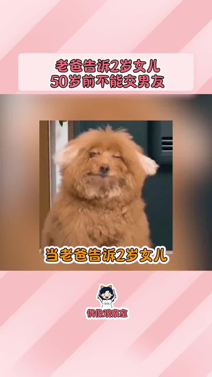 爱与偶像的交织——女儿的男友是妈妈的爱豆-第2张图片