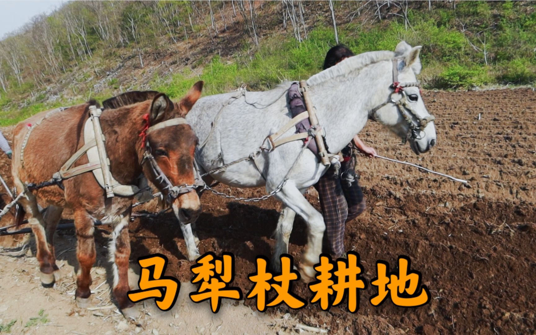 桃源记中的犁，古人的智慧与农耕的秘密-第2张图片