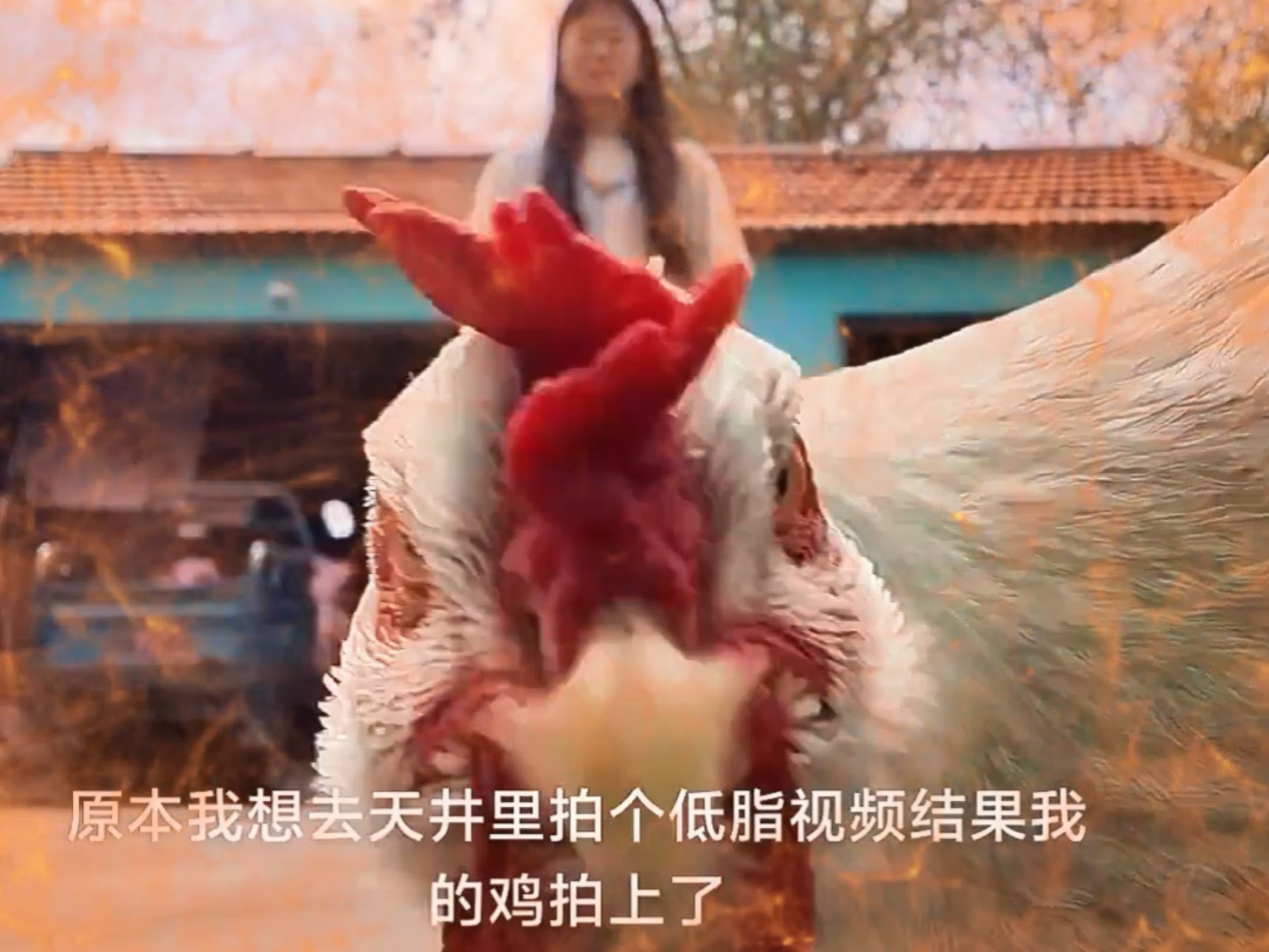 在课上用鸡插英语课代表视频课堂上的意外插曲，用鸡插英语课代表视频的反思-第3张图片