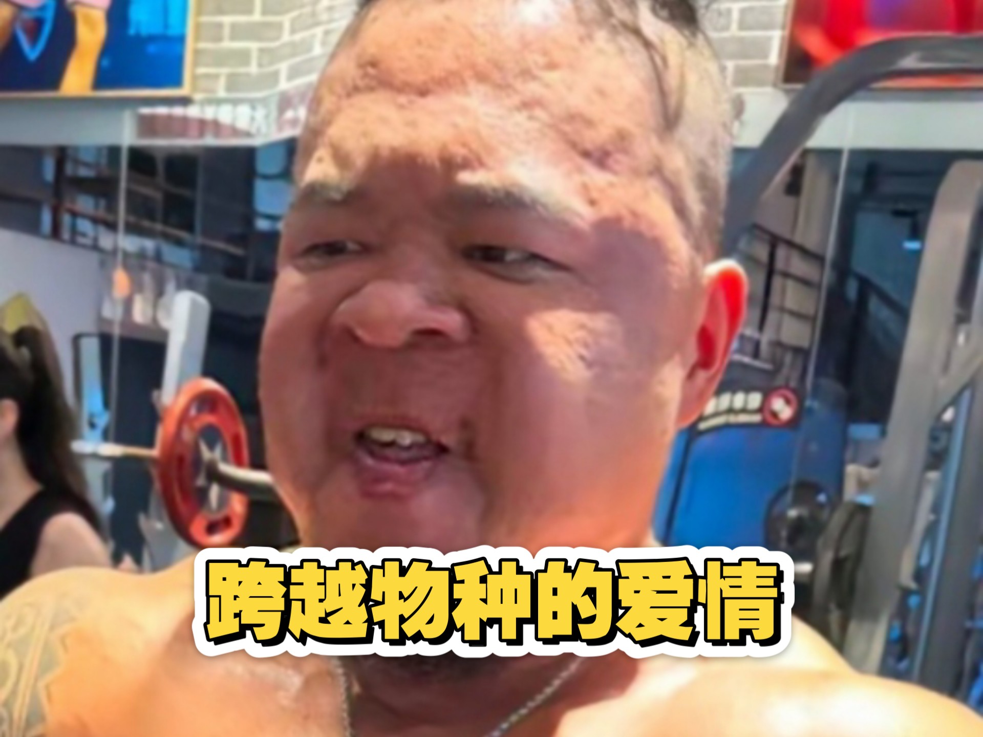 左手狼兄 右手狐弟左手狼兄，右手狐弟——一段跨越物种的传奇情谊