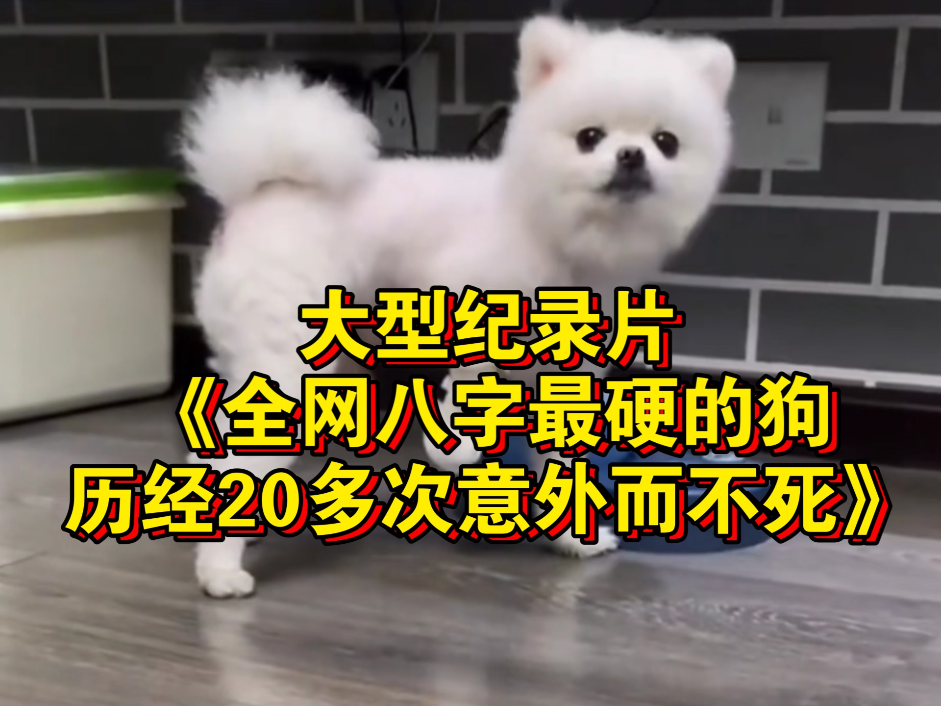 狗狗东西在我里面拔出不来了意外遭遇，狗狗玩具在我体内拔不出的经历-第2张图片