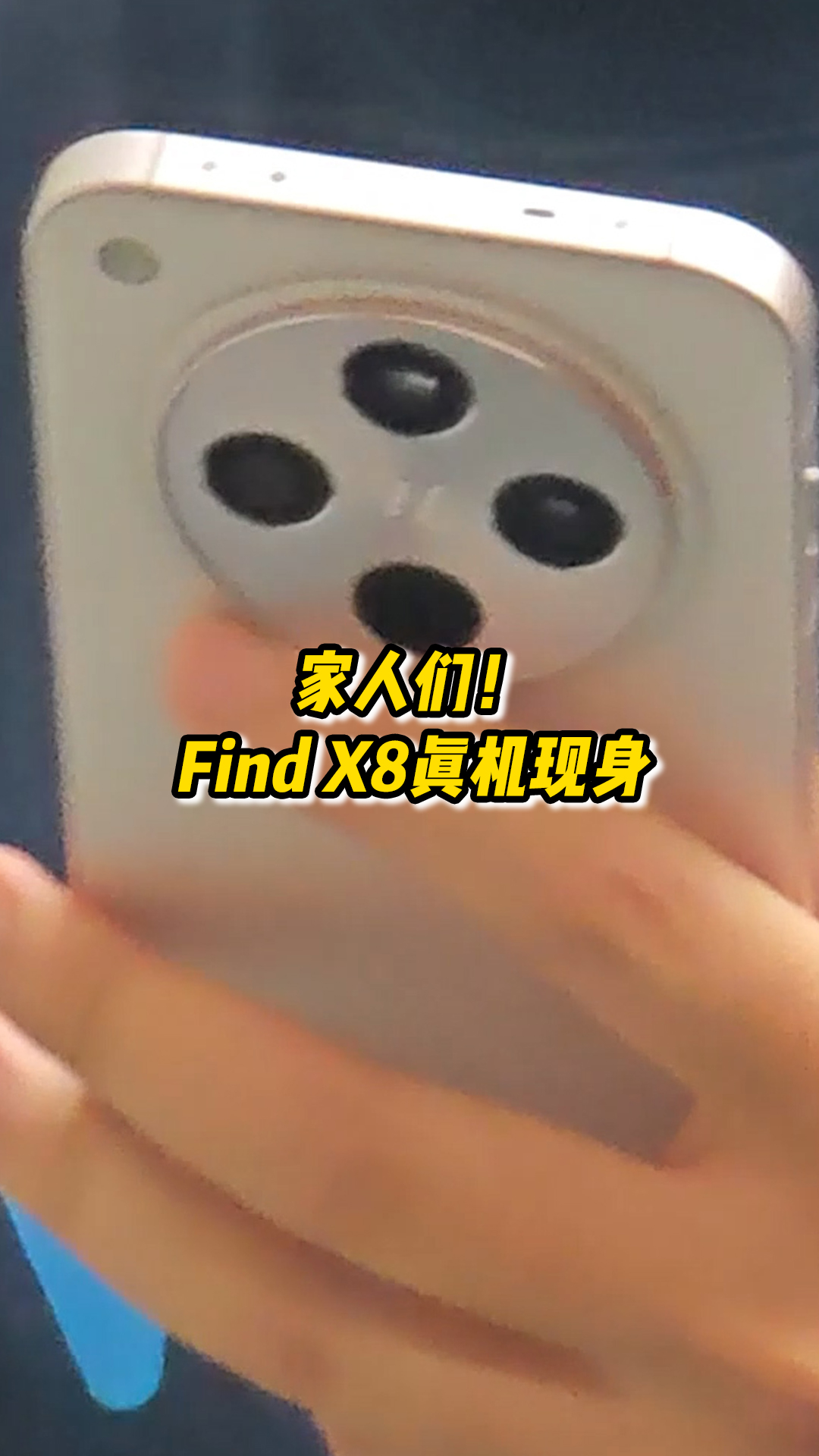 拨插拨插8X8X，成人内容与网络伦理的探讨-第1张图片