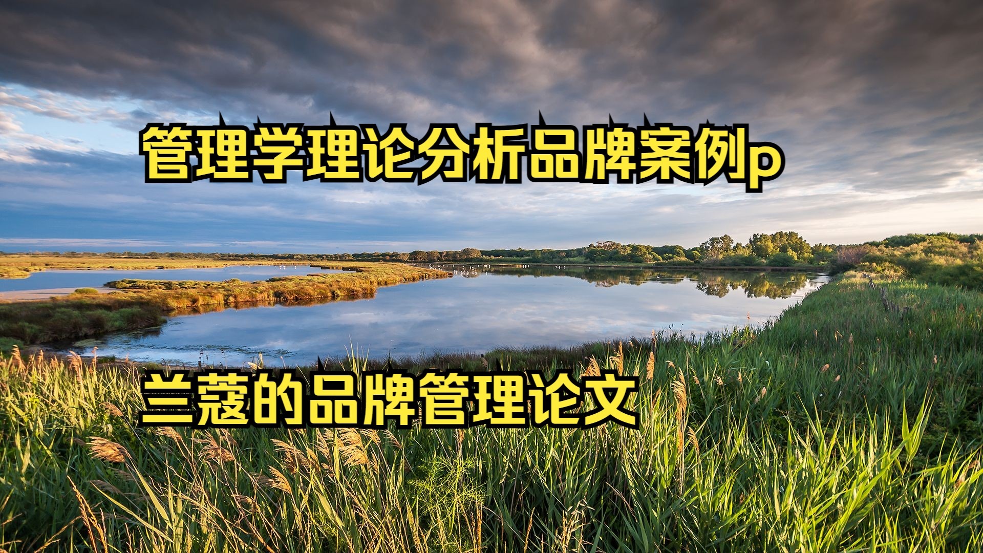 看日韩大片ppt免费pptX理论与Y理论的人性基础，探索两种管理理论下的不同视角-第2张图片