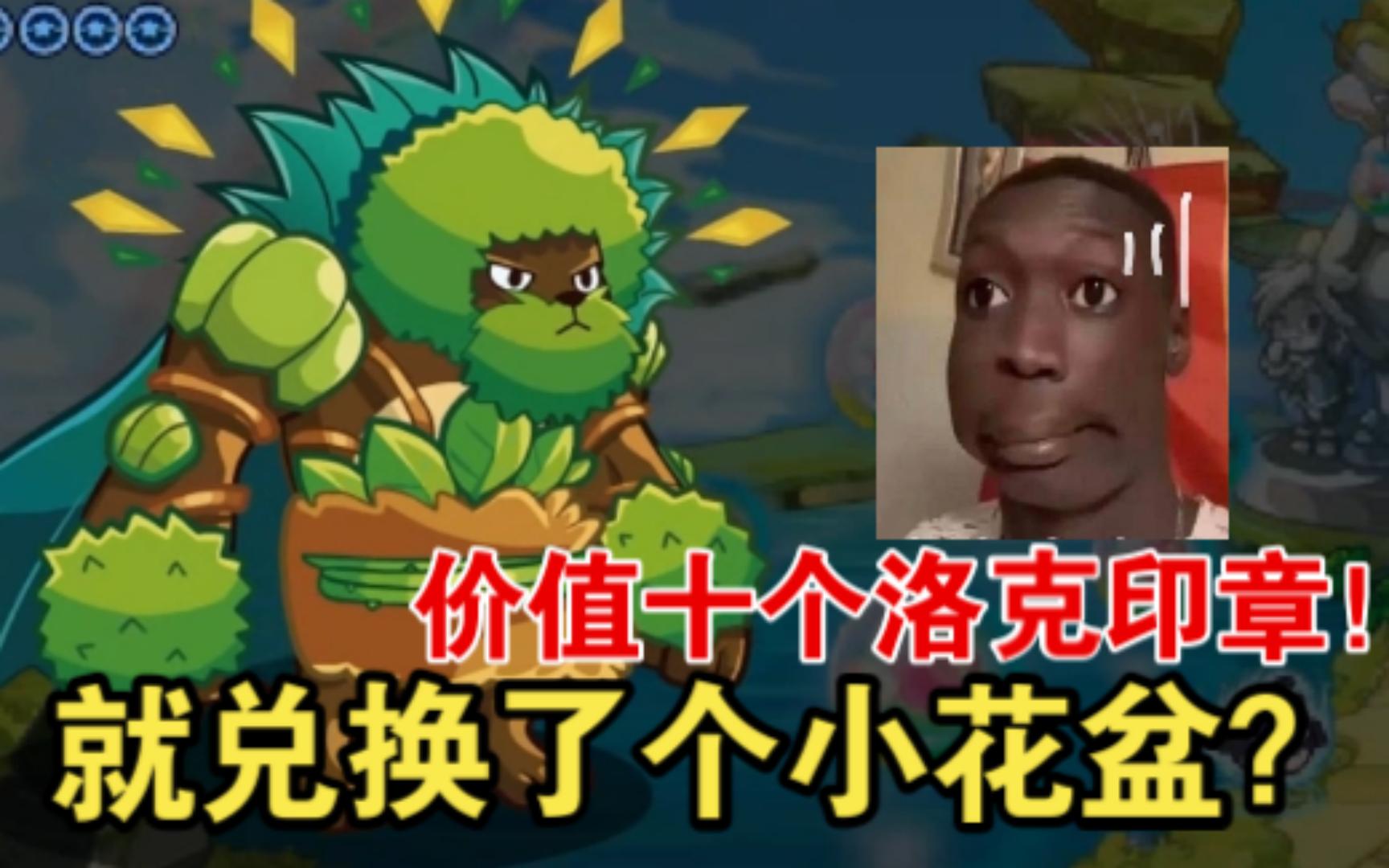 洛克王国暗夜树熊的神秘传说