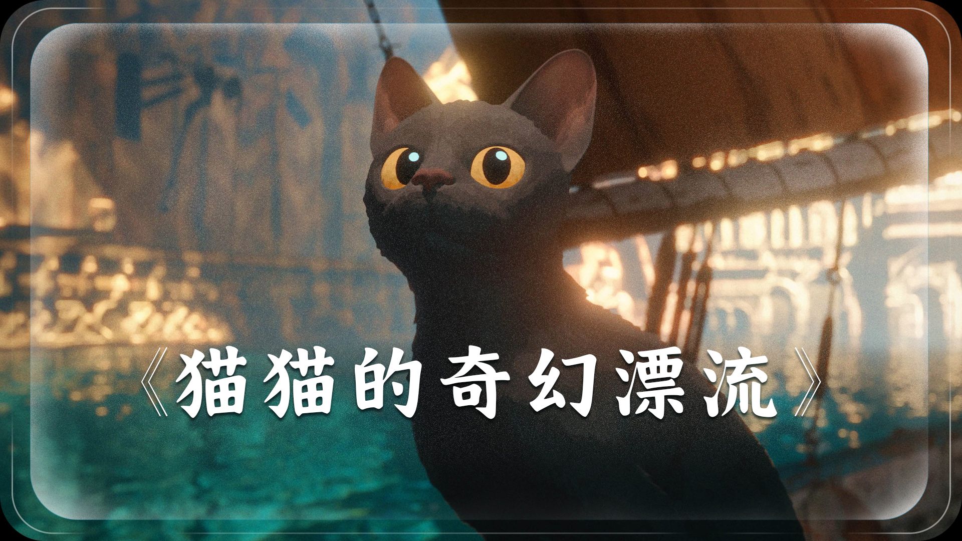 键盘猫与键盘猫的奇妙邂逅-第2张图片
