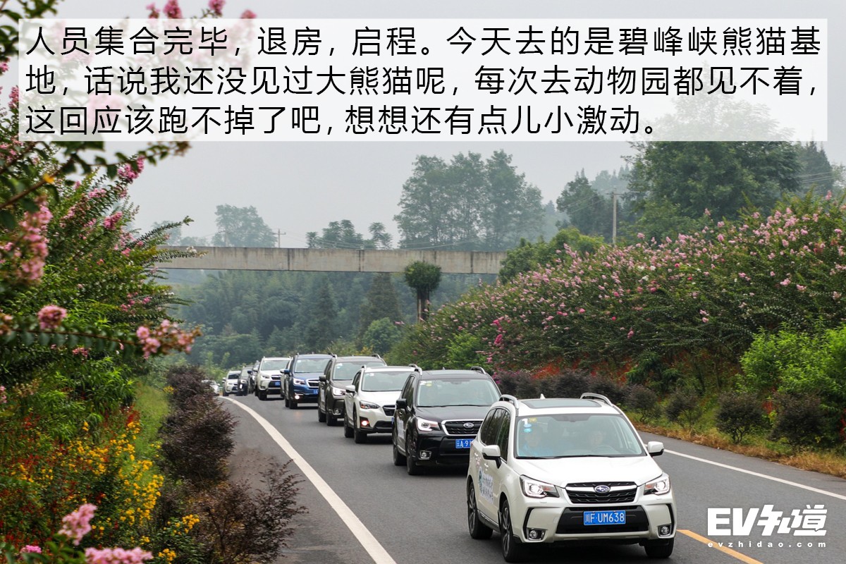 坐公共汽车一直有人顶我屁股公共汽车之旅，一次不寻常的亲密接触