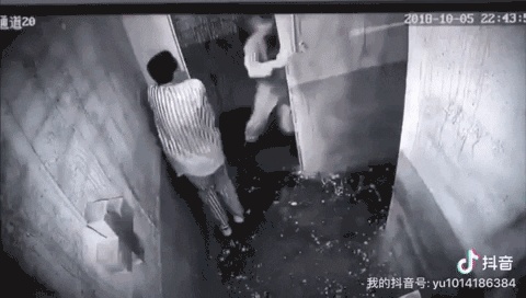 东京热是什么歌揭秘东京热，一种独特的文化现象-第1张图片