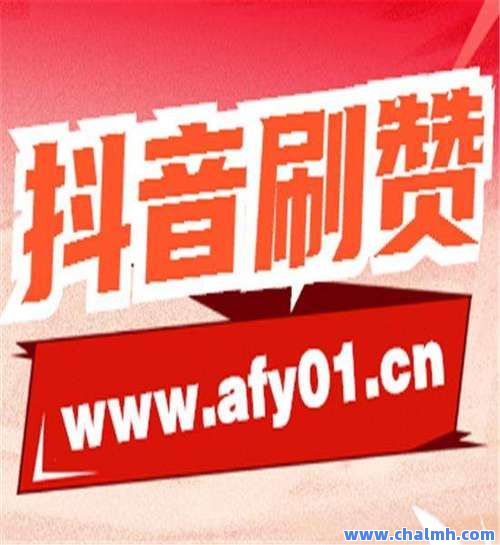 下载抖音正版下载抖音正版，体验短视频的魅力-第3张图片