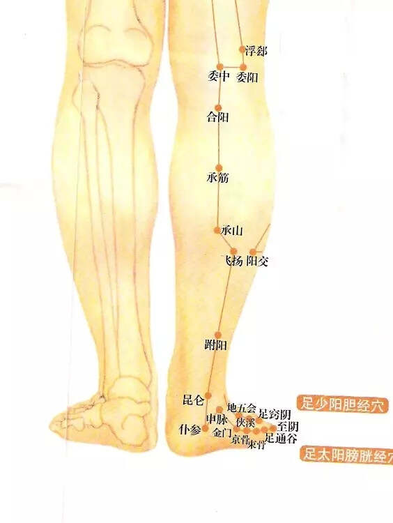 张开双腿睡觉的好处探索身体语言，关于张开双腿的深度解析-第2张图片