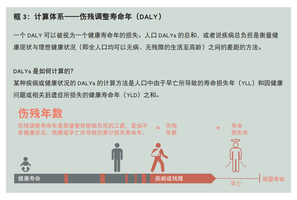 肉食教师食取报告3HD肉食教师食取报告3HD，营养与健康之间的探索