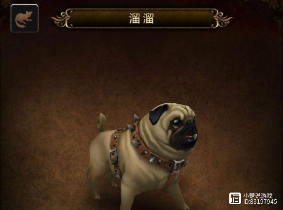 探索魔兽世界的独特魅力——wow宠物-第3张图片