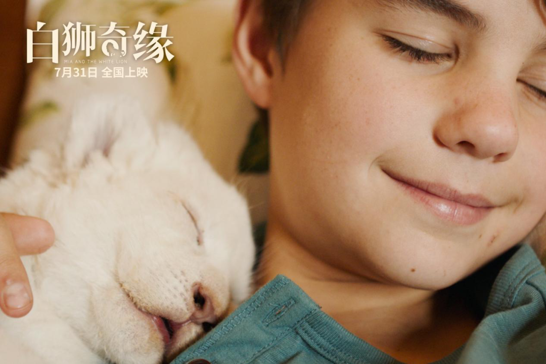 嗯嗯撸影院，探索电影艺术的乐园-第1张图片